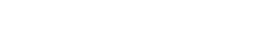 PGX Digital — Institutional Digital Infrastructure